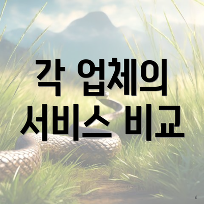 각 업체의 서비스 비교