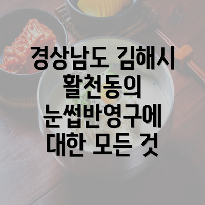 경상남도 김해시 활천동의 눈썹반영구에 대한 모든 것