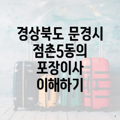 경상북도 문경시 점촌5동의 포장이사 이해하기
