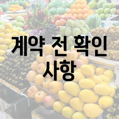 계약 전 확인 사항