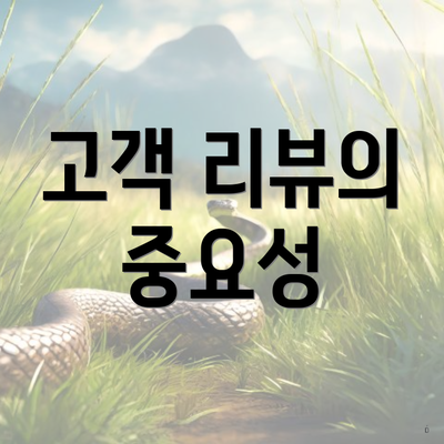 고객 리뷰의 중요성
