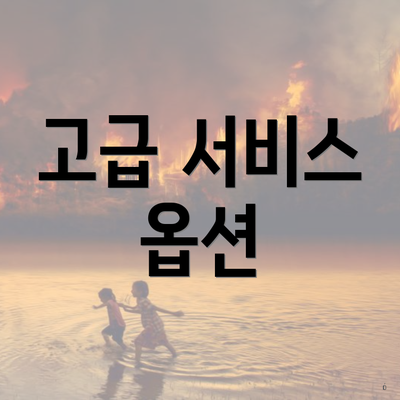 고급 서비스 옵션