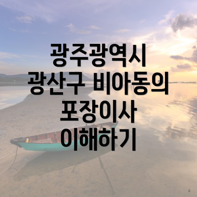 광주광역시 광산구 비아동의 포장이사 이해하기