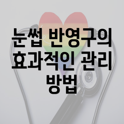 눈썹 반영구의 효과적인 관리 방법