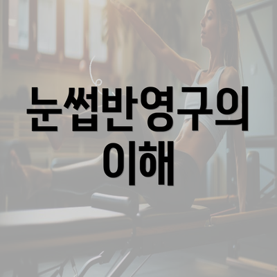 눈썹반영구의 이해