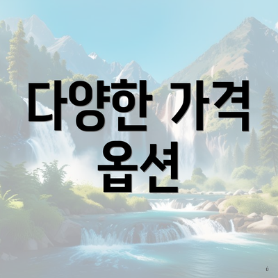다양한 가격 옵션