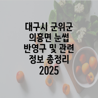 대구시 군위군 의흥면 눈썹 반영구 및 관련 정보 총정리 2025