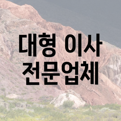 대형 이사 전문업체
