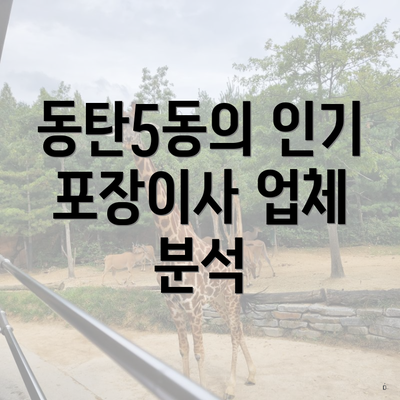 동탄5동의 인기 포장이사 업체 분석