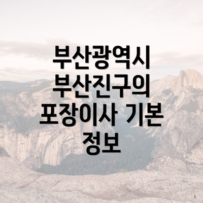 부산광역시 부산진구의 포장이사 기본 정보