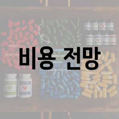 비용 전망