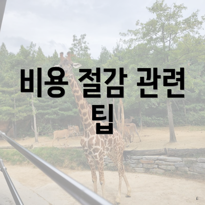 비용 절감 관련 팁