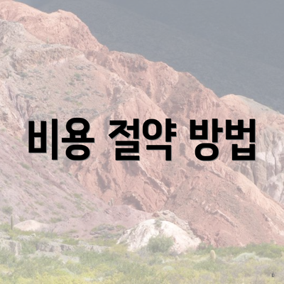 비용 절약 방법