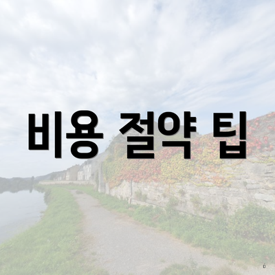 비용 절약 팁
