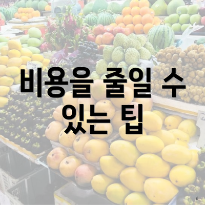 비용을 줄일 수 있는 팁