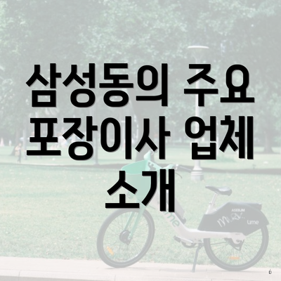 삼성동의 주요 포장이사 업체 소개