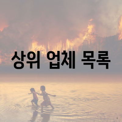 상위 업체 목록