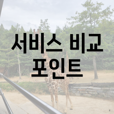 서비스 비교 포인트