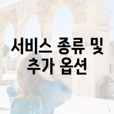 서비스 종류 및 추가 옵션