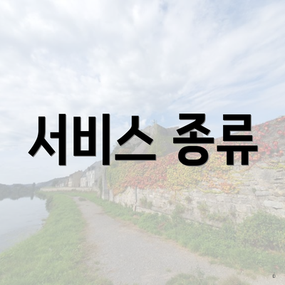 서비스 종류