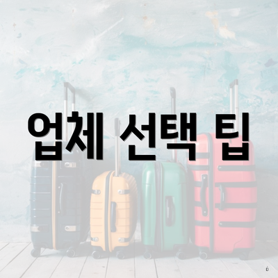 업체 선택 팁