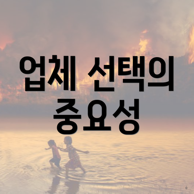업체 선택의 중요성