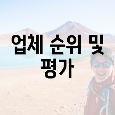 업체 순위 및 평가