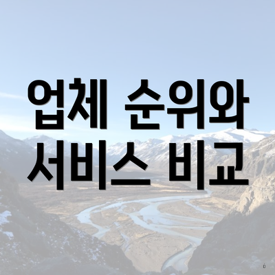 업체 순위와 서비스 비교
