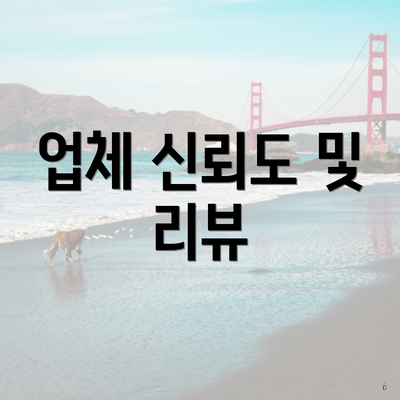업체 신뢰도 및 리뷰