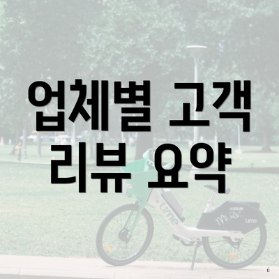 업체별 고객 리뷰 요약