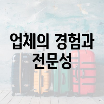업체의 경험과 전문성