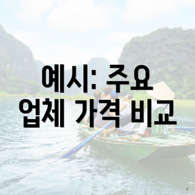 예시: 주요 업체 가격 비교