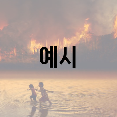 예시