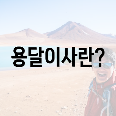 용달이사란?