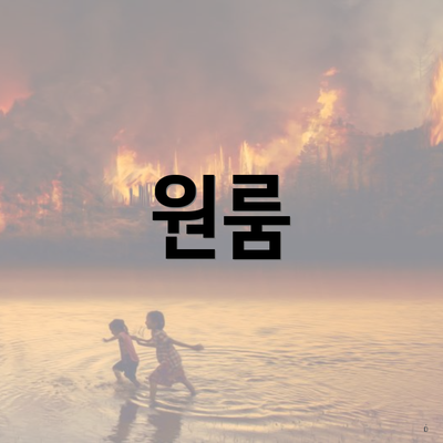원룸