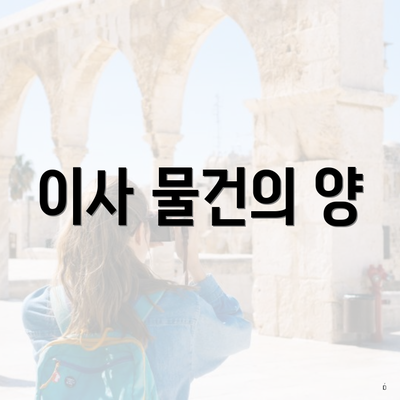 이사 물건의 양