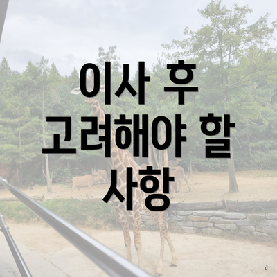 이사 후 고려해야 할 사항