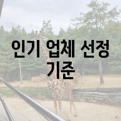 인기 업체 선정 기준