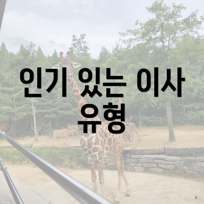 인기 있는 이사 유형