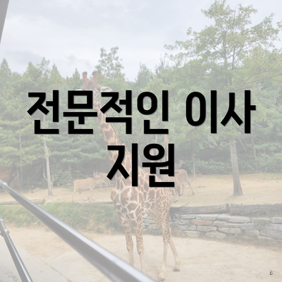 전문적인 이사 지원