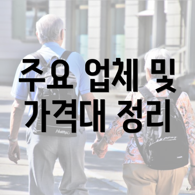 주요 업체 및 가격대 정리