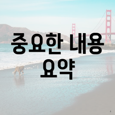 중요한 내용 요약