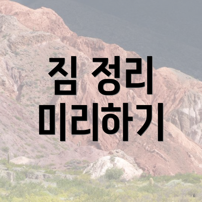 짐 정리 미리하기