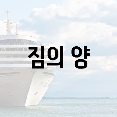 짐의 양