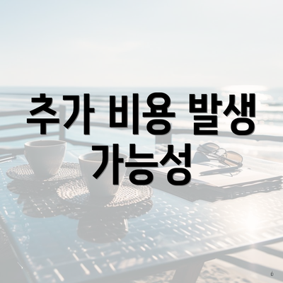 추가 비용 발생 가능성