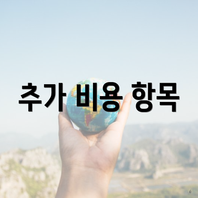 추가 비용 항목