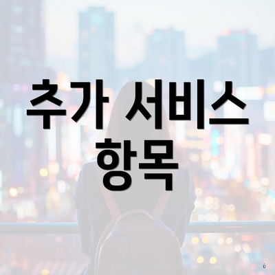 추가 서비스 항목