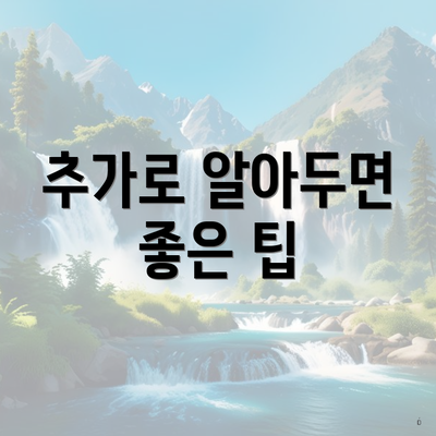추가로 알아두면 좋은 팁