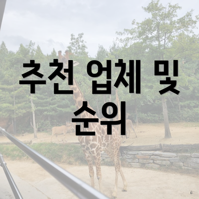 추천 업체 및 순위