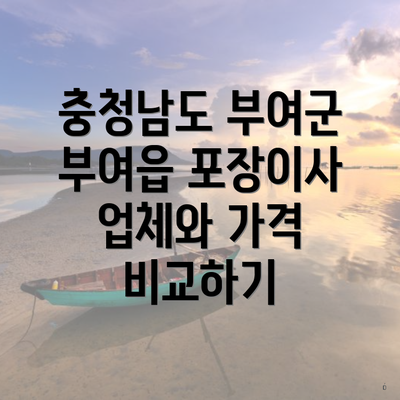 충청남도 부여군 부여읍 포장이사 업체와 가격 비교하기